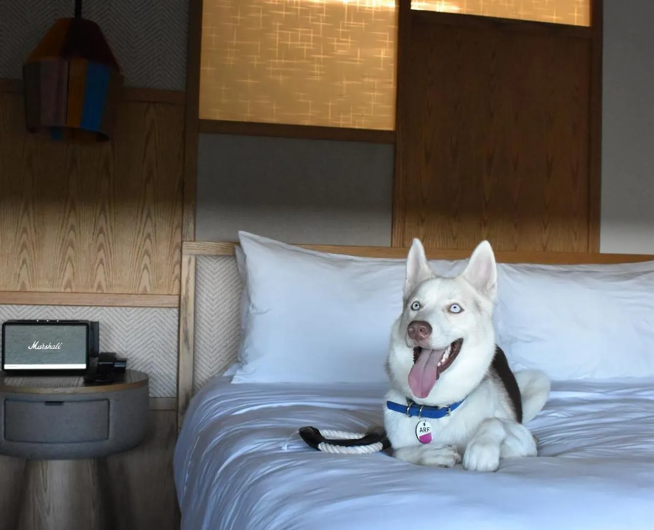 Отель Aloft Тулум